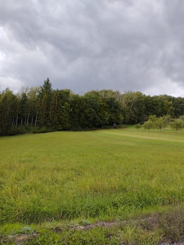 Bonlanden und Bombach Rundweg