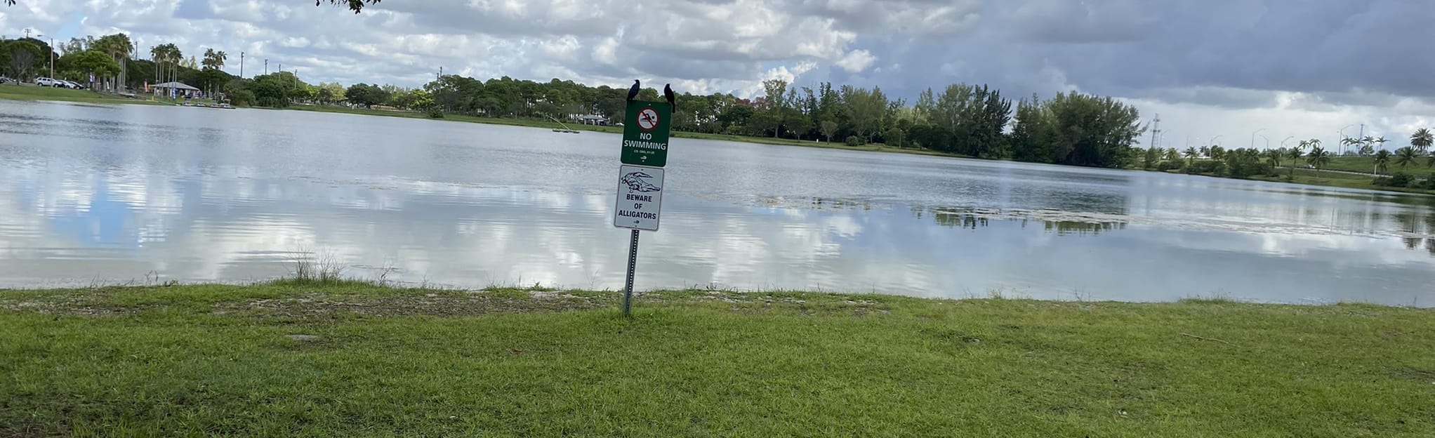 Tropical Park Loop 161 Reviews, Map Florida AllTrails