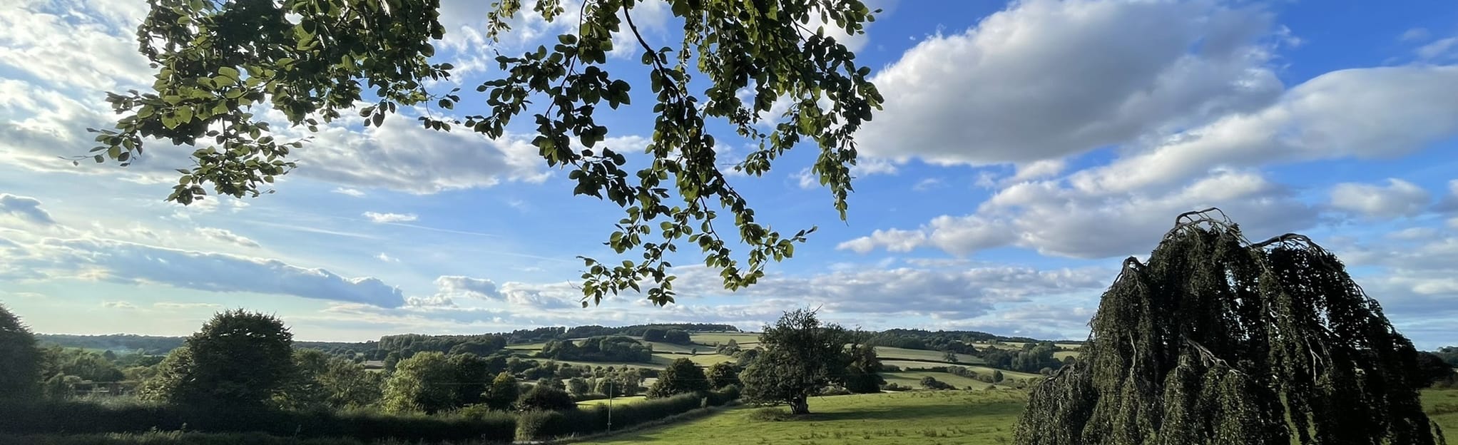 Fonthill Wood and Tisbury Circular 9 foto's Dorset, Engeland AllTrails