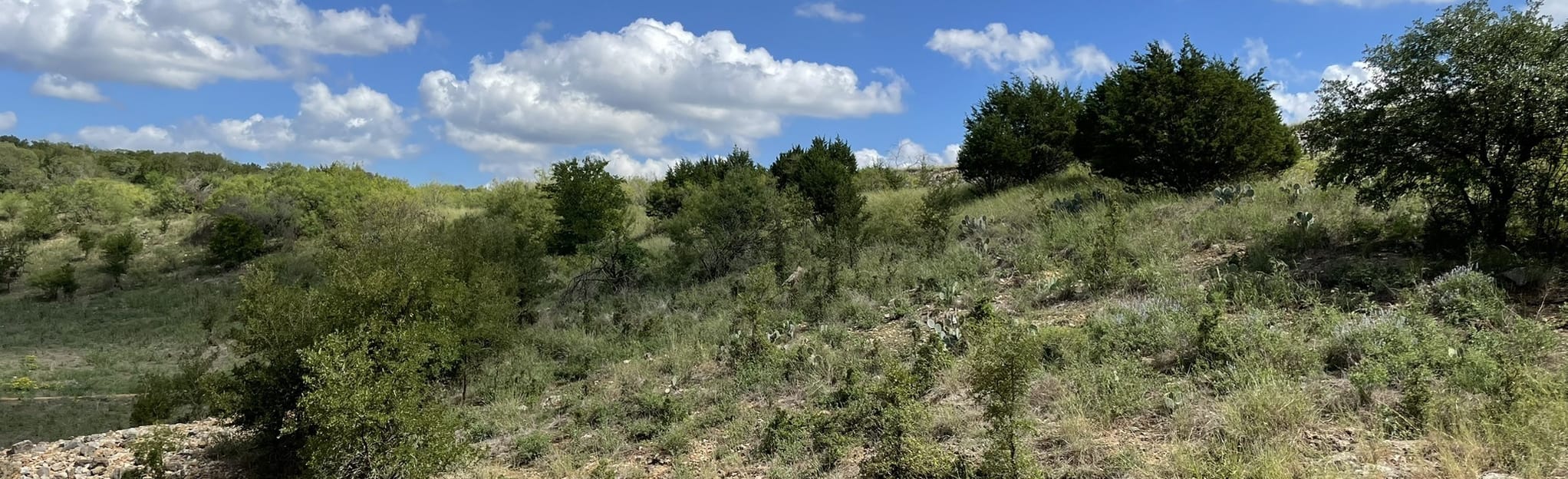 Lower Purgatory to Dante's Trail Loop - Texas | AllTrails