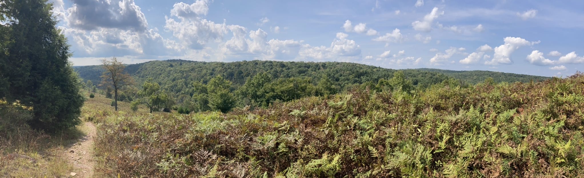 Sand Spring Trail to Fireline Trail to Skyline Trail Map, Guide