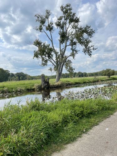 Photos of Chippewa Inlet Trail Ohio AllTrails