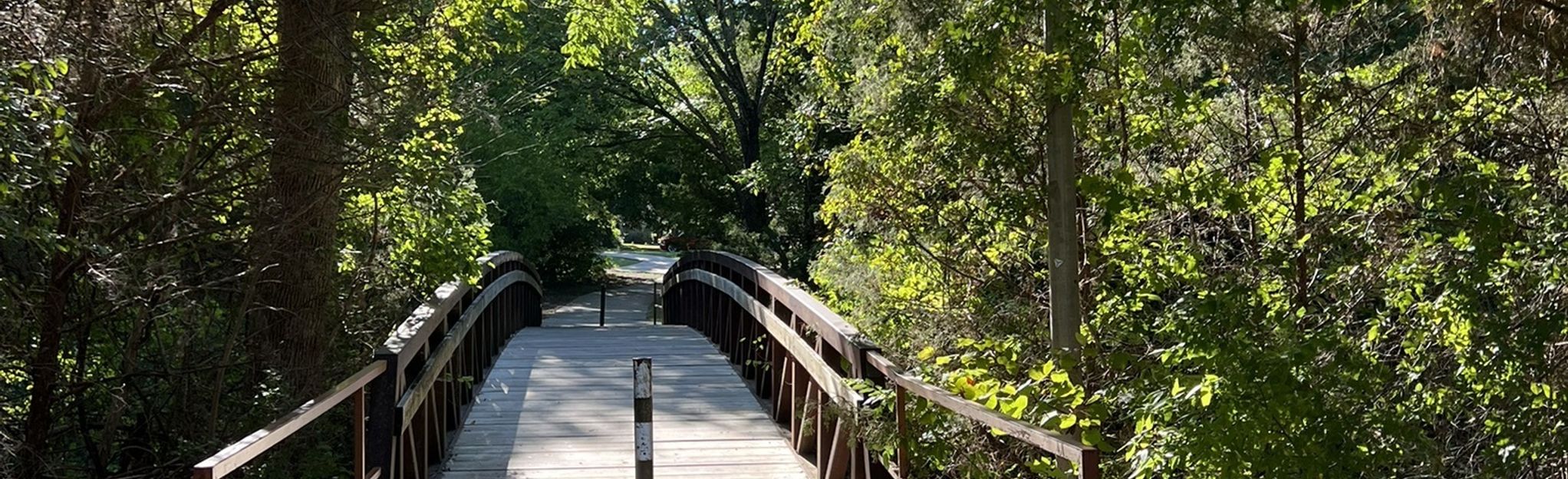 Cottonwood Creek South Trail, Texas - 70 Reviews, Map | AllTrails