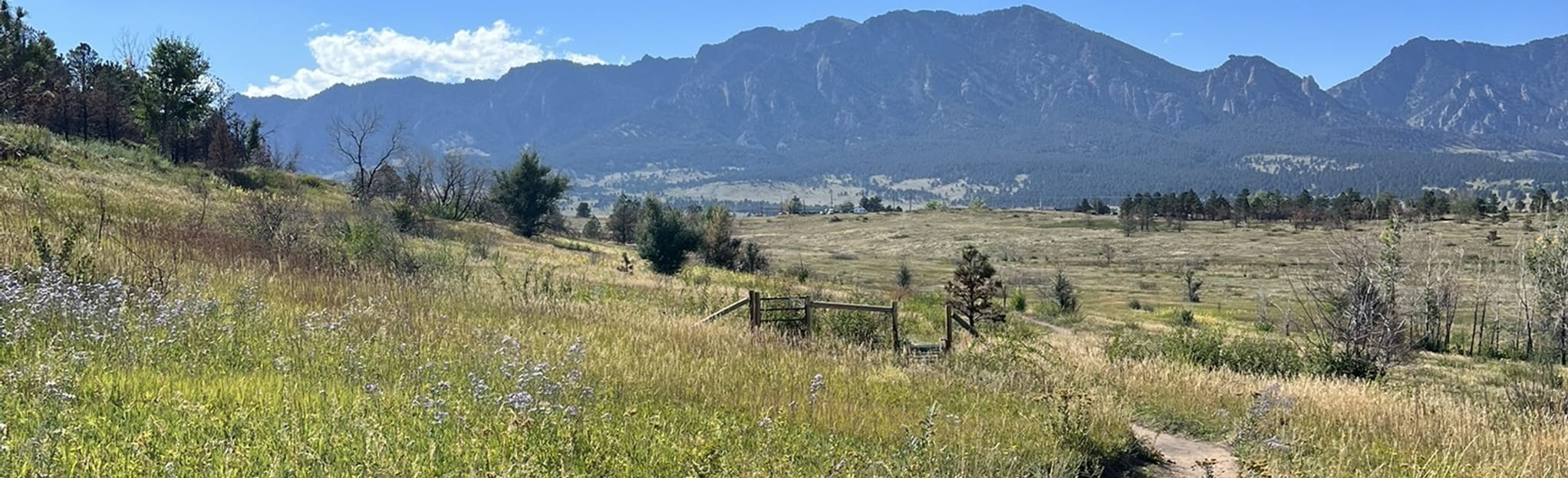 Mesa Valley, Cowdrey Draw and Coal Seam Loop 550 foto's Colorado AllTrails
