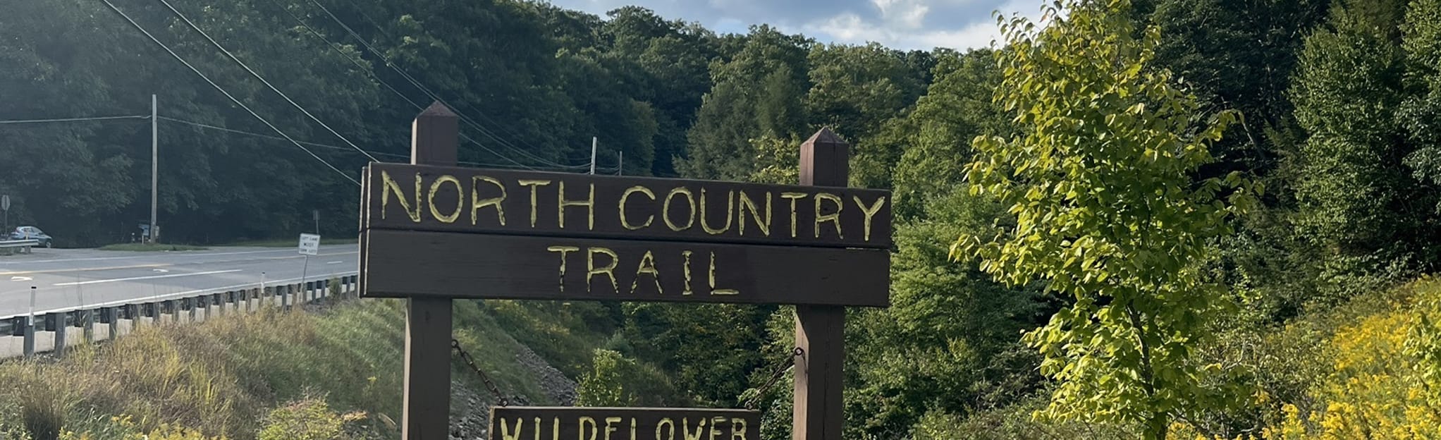 Wildflower Trail 35 Fotos Pennsylvania AllTrails