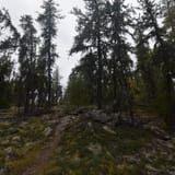 Nut Point Trail, Saskatchewan, Canada - 99 Reviews, Map | AllTrails