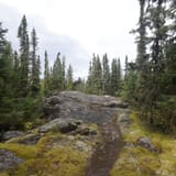 Nut Point Trail, Saskatchewan, Canada - 99 Reviews, Map | AllTrails