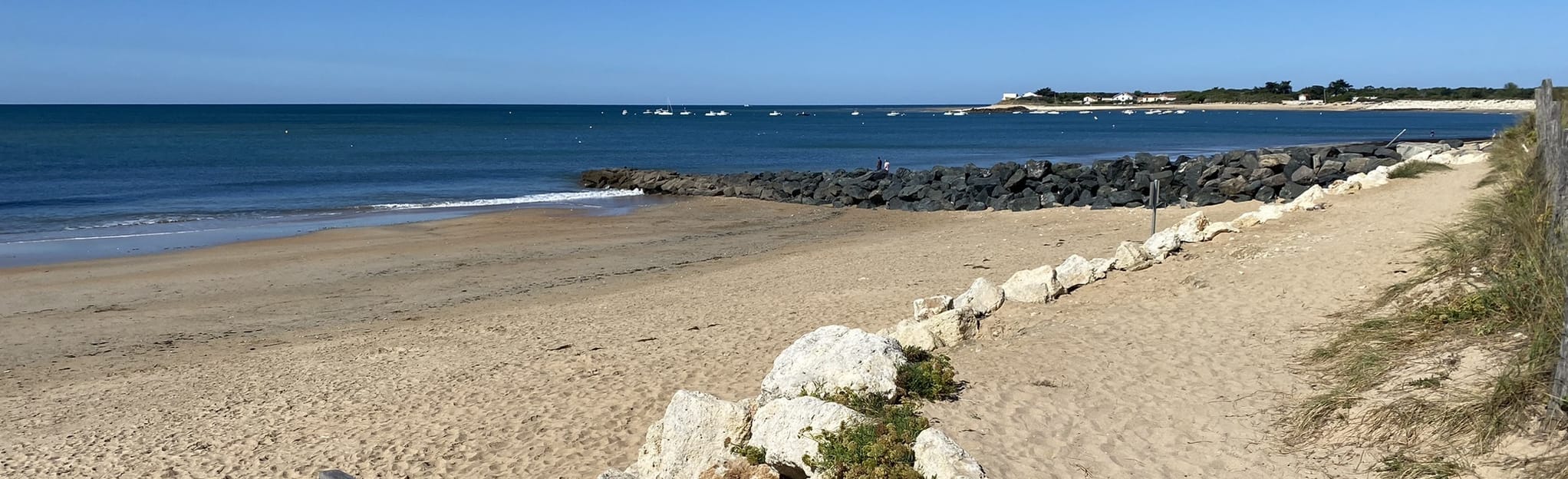 Circuit de la plage de la Rémigeasse, 7 Photos CharenteMaritime, France AllTrails