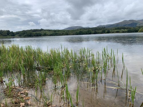 Woman fishing on the bank of Gartmorn Dam in Scotland Stock Photo - Alamy