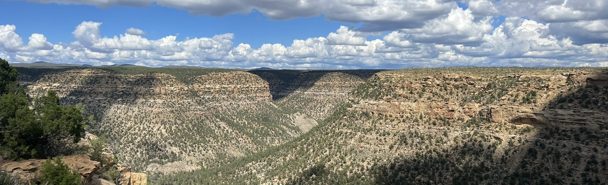 Soda Canyon Overlook Trail 332 Reviews, Map Colorado AllTrails