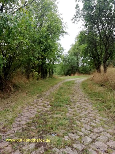 Holzgrundweg W 5.15