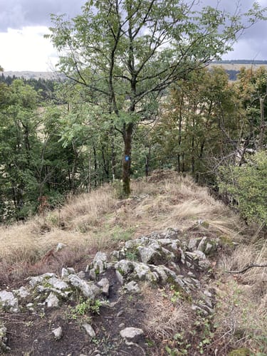 Wüstensachsen Rundweg 10