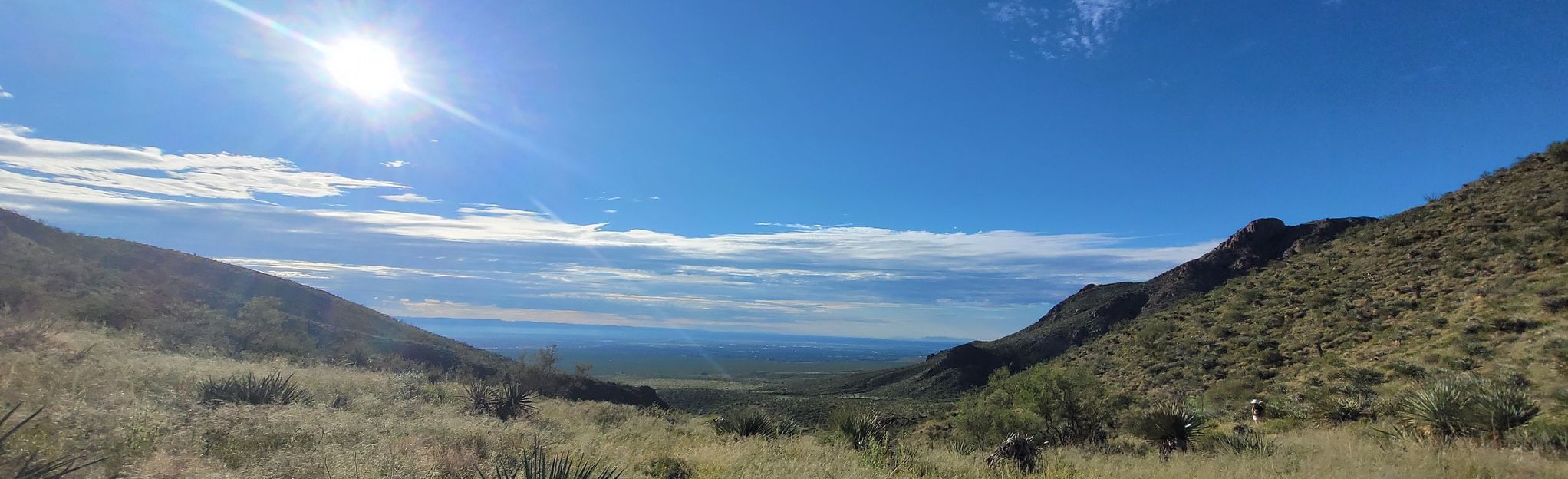 Coyote Ugly to Sotol Forest Trail | Map, Guide - Texas | AllTrails