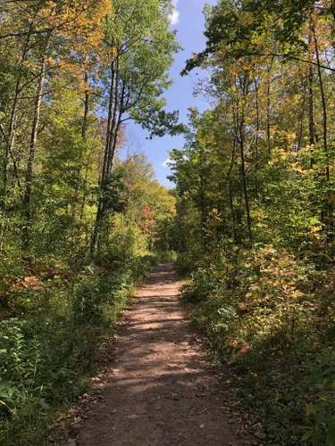 10 Best Hikes and Trails in Chequamegon Nicolet National Forest