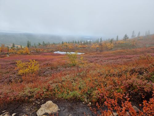 Best 10 Hikes and Trails in Lemmenjoki National Park | AllTrails