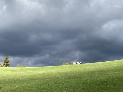 EifelSchleife Naturwanderpfad