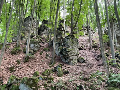 Teufelsschlucht und Keltenhöhle Rundweg