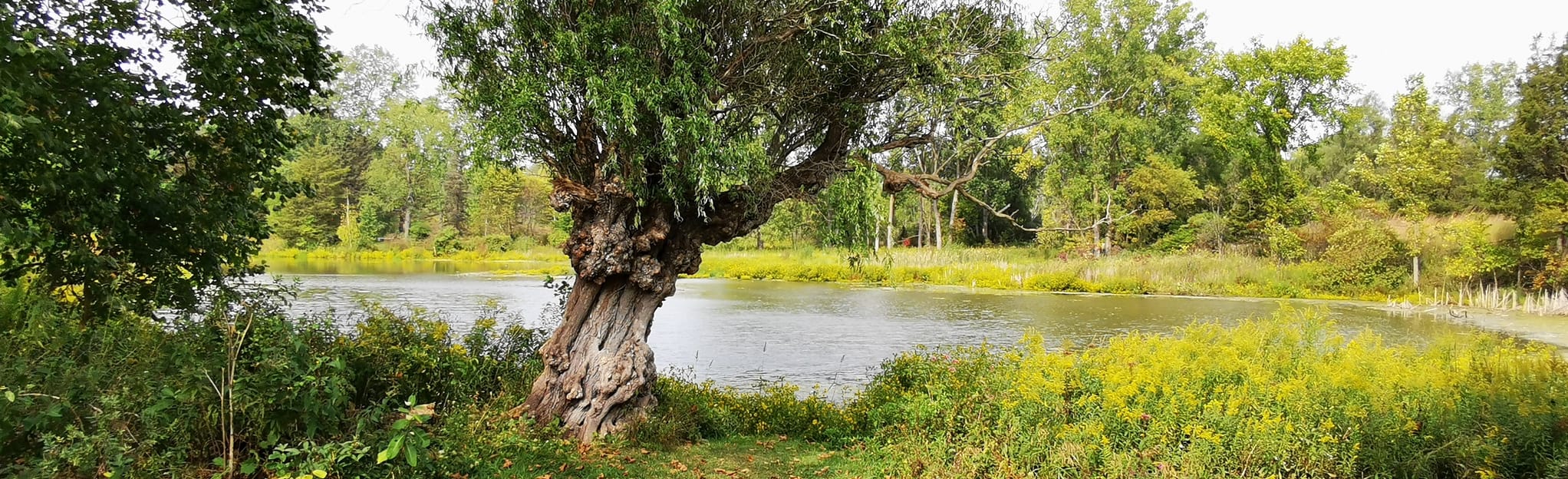 Fleming Creek, Marilyn Bland Prairie, and Sue Reichert Discovery Trail ...