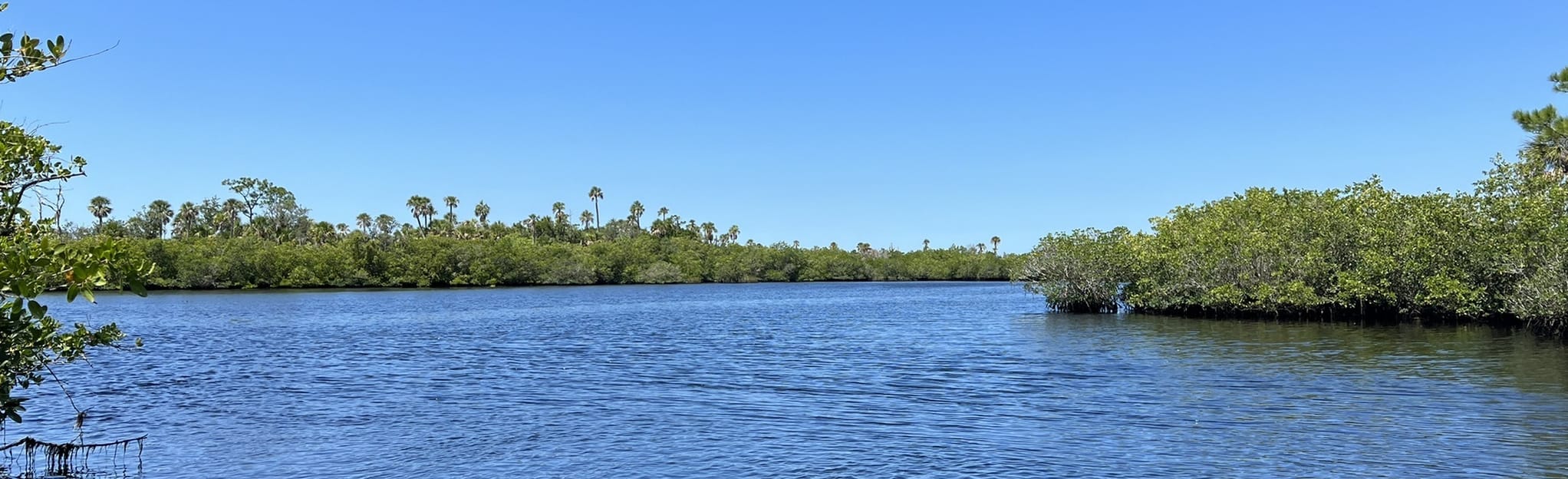 Salt Springs Kayak Launch Trail 22 Reviews, Map Florida AllTrails