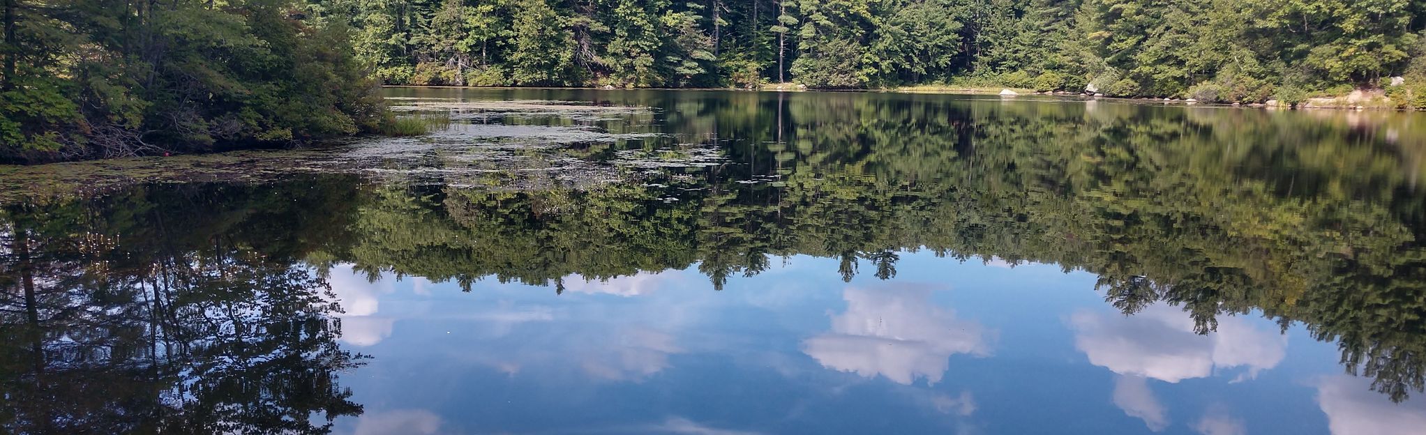 Escape to Serenity: Your Guide to Massachusetts' Dunn State Park