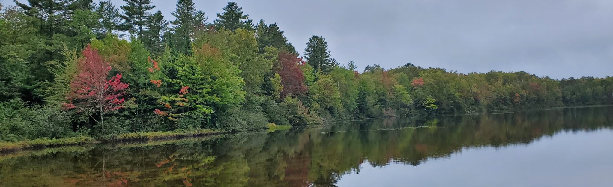 AllTrails Brighton Shore Trail 24 Reviews, Map Vermont