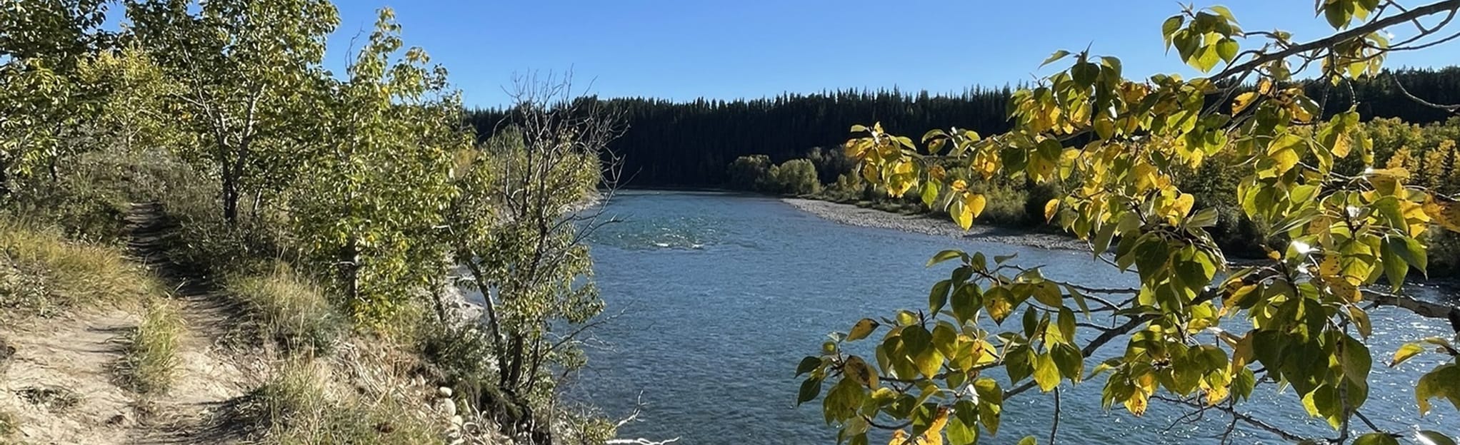 Riverfront Park Trail, Alberta, Canada 208 Reviews, Map AllTrails