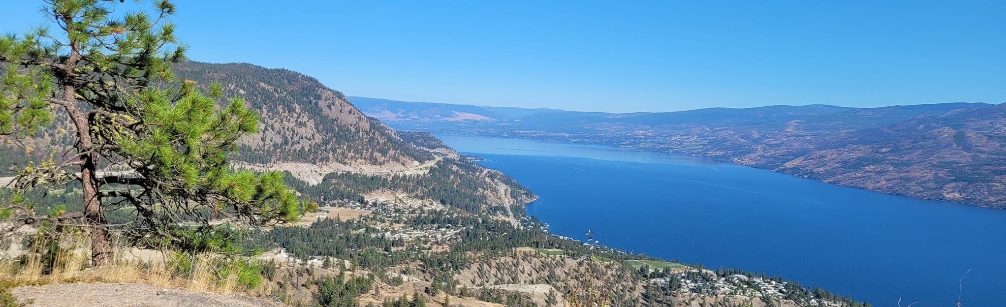 Pincushion Mountain Trail 700 Fotos British Columbia, Kanada AllTrails