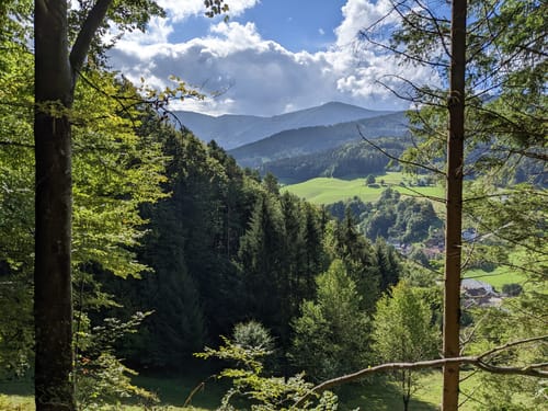Höhenweg Elzach-Yach