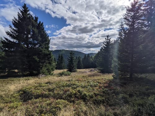 Höhenweg Elzach-Yach