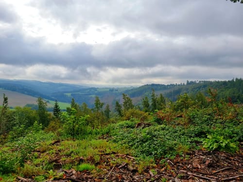 Großer Rundwanderweg Dittmannsdorf