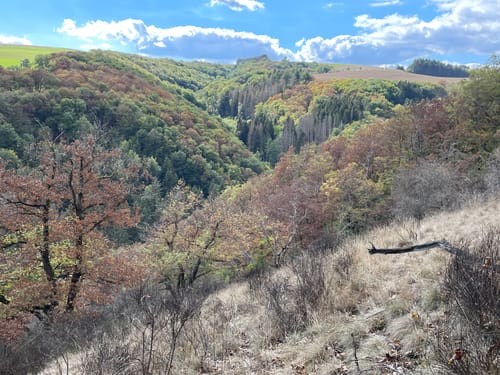 Neuer-Burg-Weg (NaturWanderPark)