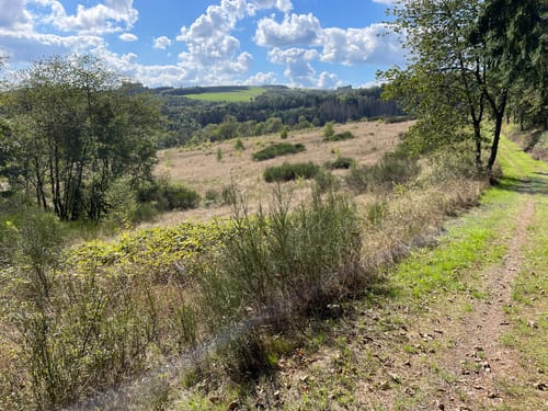 Neuer-Burg-Weg (NaturWanderPark)