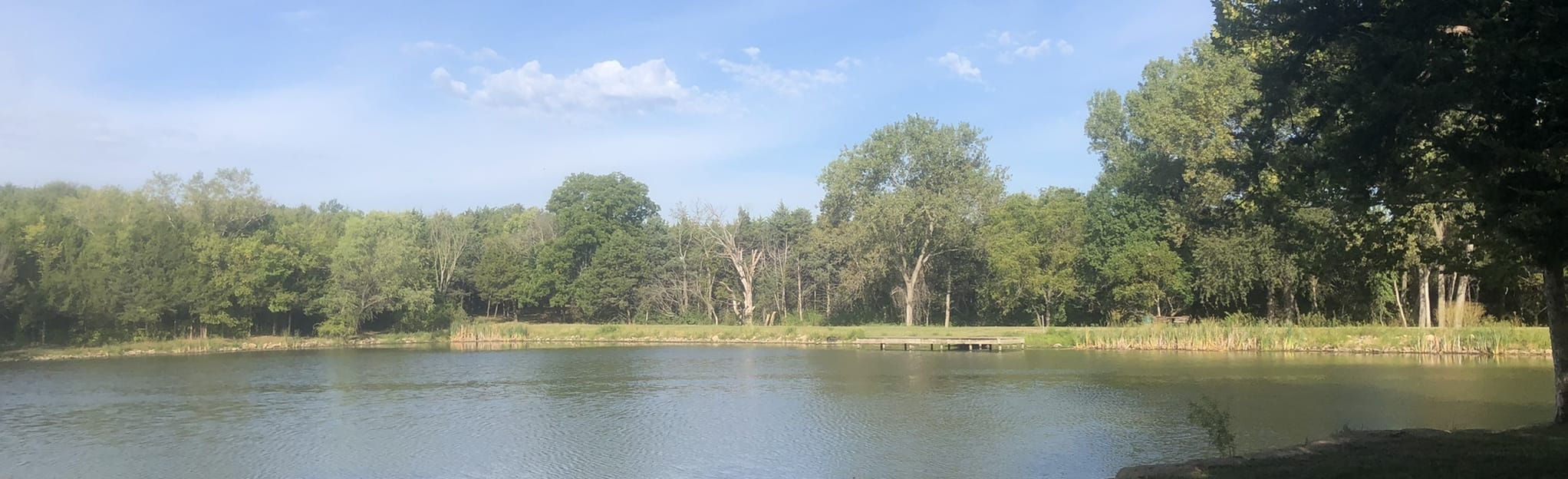 Clarion Woods Trail 28 Reviews, Map Kansas AllTrails