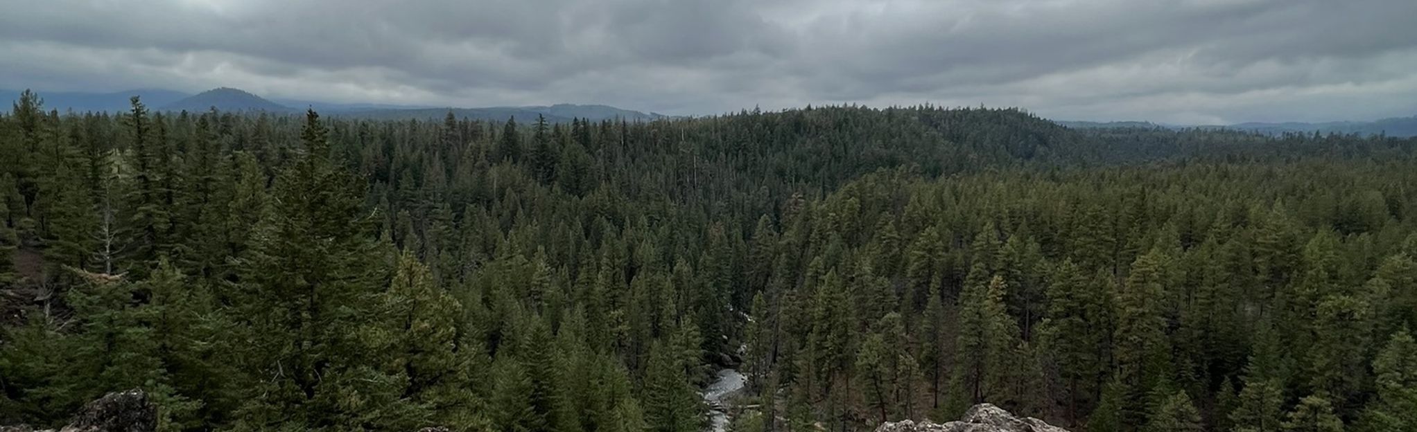 Whychus Creek Trail and Peterson Ridge Tie Trail Loop, Oregon - 200 ...