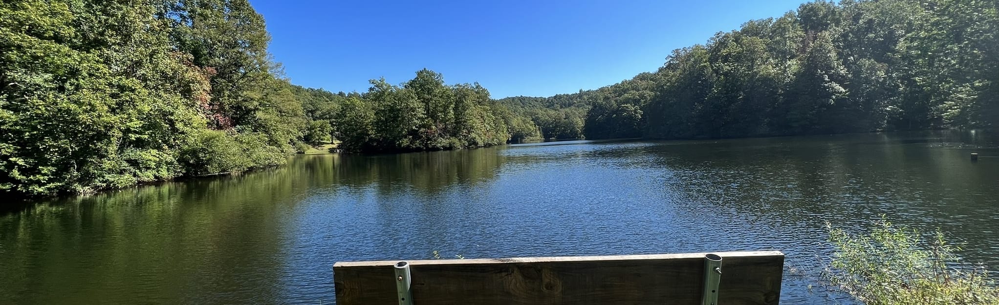 Laurel Branch Trail, Virginia 19 Reviews, Map AllTrails