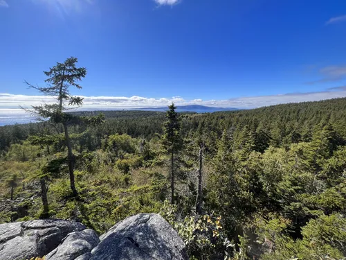 Best Short Trails in Birch Harbor AllTrails