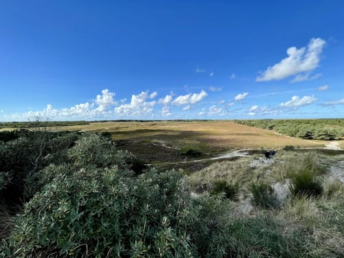 Panoramarute 402: Kommandøren og Kaskelotten