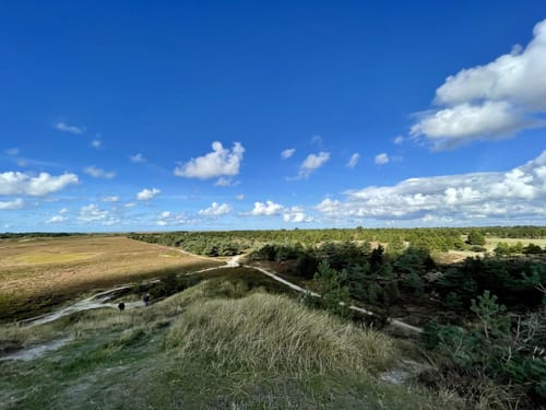 Panoramarute 402: Kommandøren og Kaskelotten