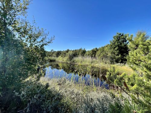 Parc National De La Mer Des Wadden Les 10 Meilleures Randonnées Le