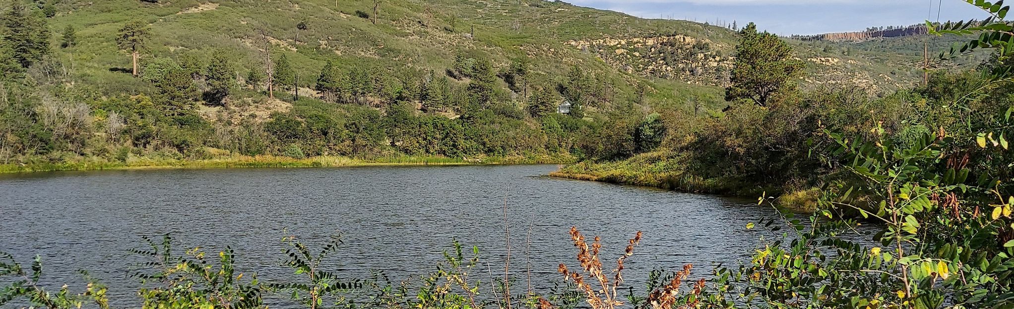 Lake Alice Trail: 15 Reviews, Map - New Mexico | AllTrails