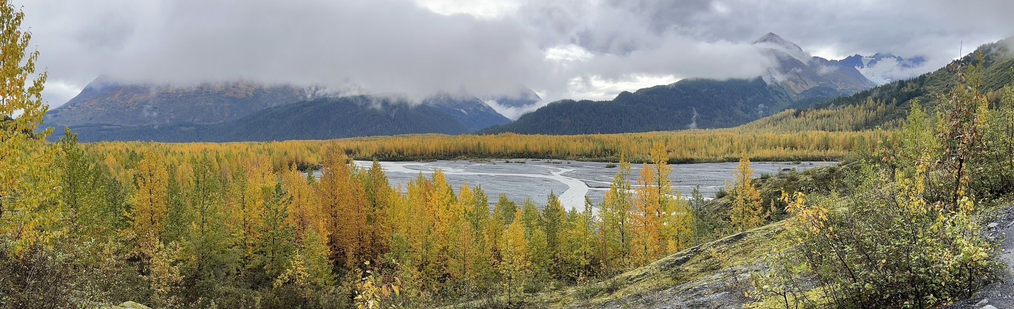 Exit Glacier Overlook Trail 1412 Reviews Map Alaska Alltrails 0183