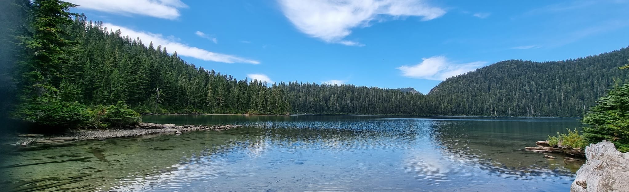 Carbon Glacier, Mowich Lake, and Ipsut Creek Loop Trail 3.143 foto's