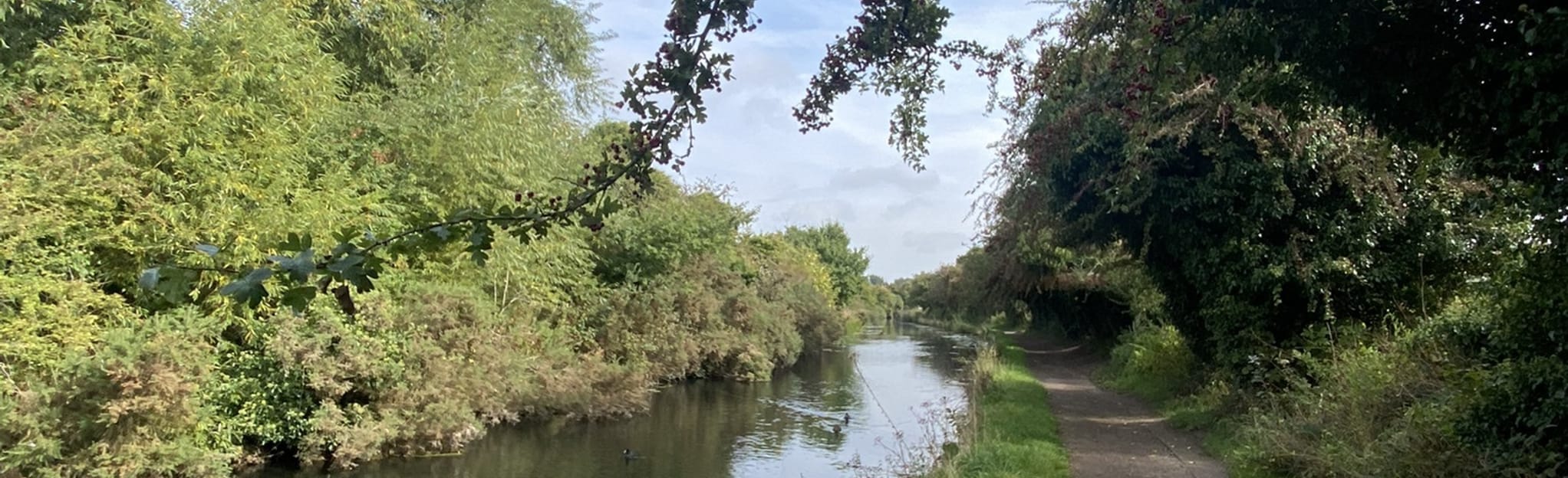 Wednesfield and Essington Circular 34 Photos Midlands de l'Ouest