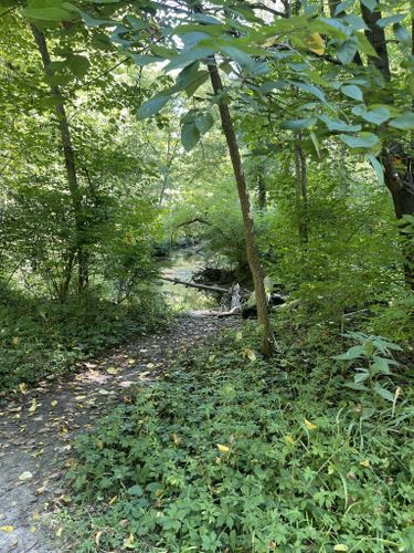 Best Hikes and Trails in Westside Park | AllTrails