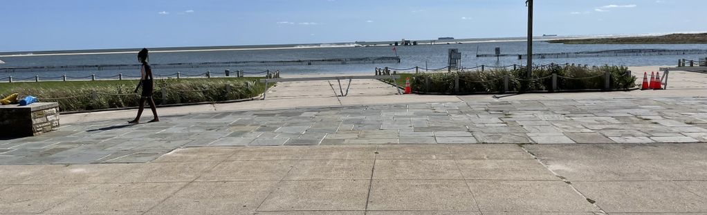 are dogs allowed on jones beach boardwalk