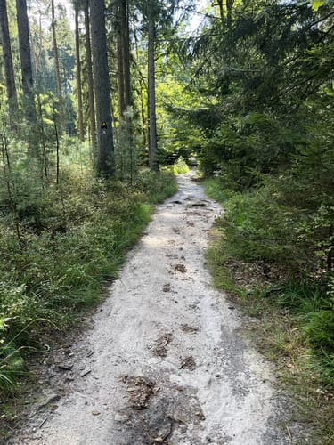 Ehestorf zum NSG Buchenwälder im Rosengarten