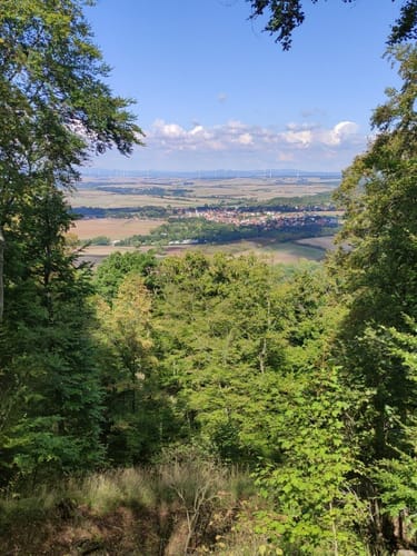 Leinach - Ruine Wildberg