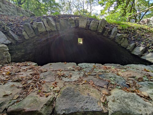 Leinach - Ruine Wildberg