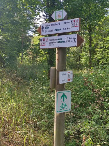 Leinach - Ruine Wildberg