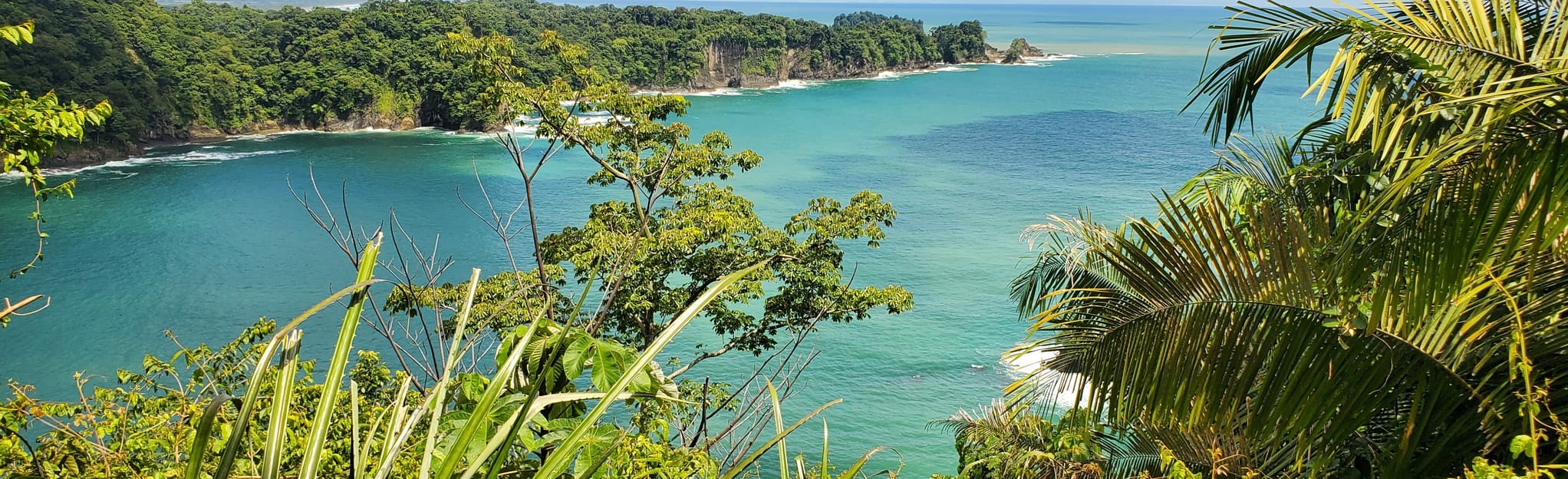 Complete Tour of Manuel Antonio, Puntarenas, Costa Rica 184 Reviews